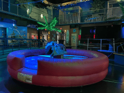 bucky 1749763051 Mechanical Bull